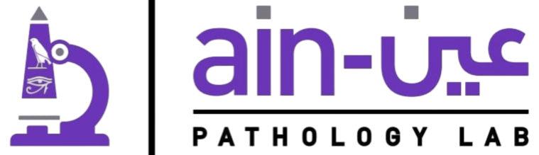 Ain Lab Logo